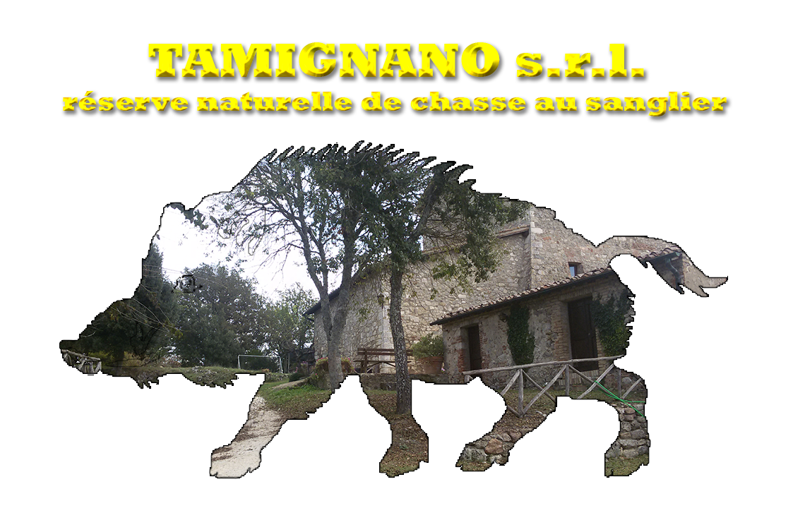 Tamignano S.r.l. - Réserve naturelle de chasse au sanglier
